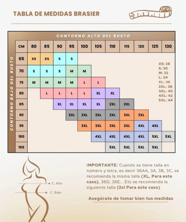 Basier Corrector de Postura y con Realce - Cautivadoras